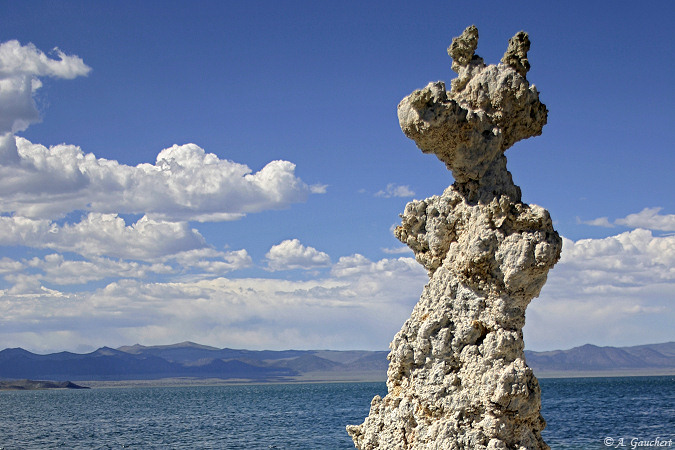 Mono Lake - Goofy